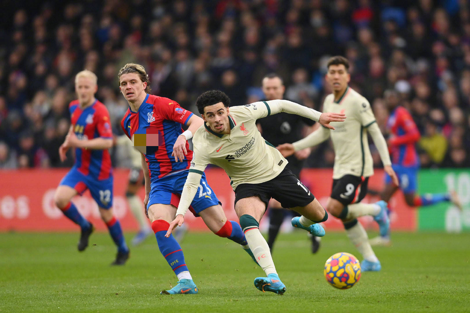 才能在赛季 才能在赛季